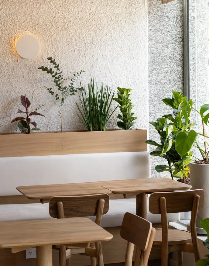 Mesas de madera, plantas y luz natural en Punto Café